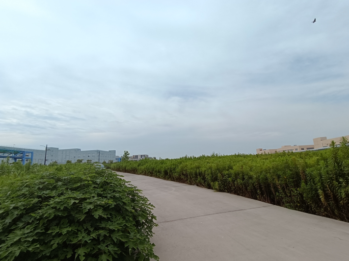 1723717621938.png image.png