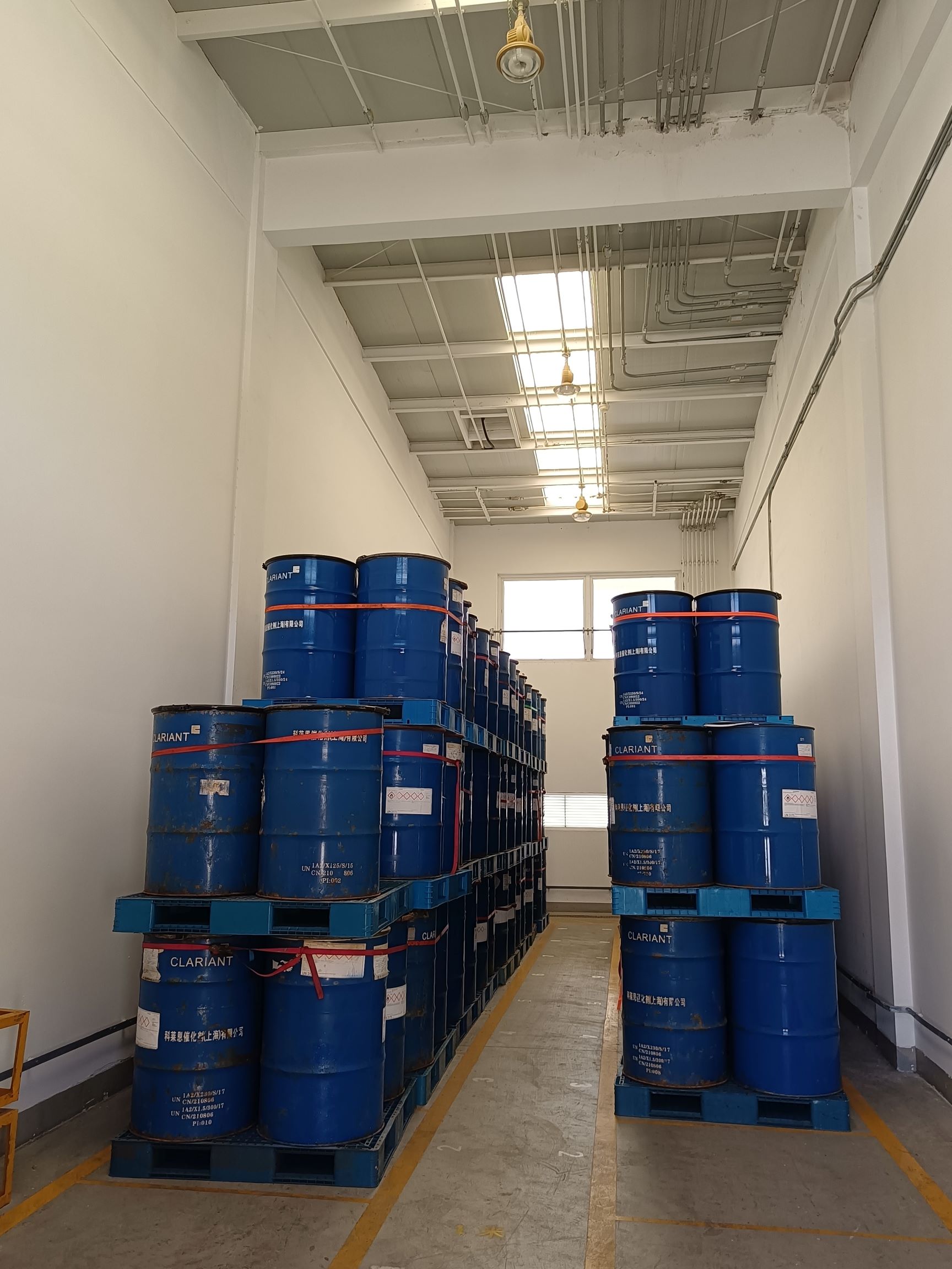 1749465256748.jpg IMG_20241106_103613.jpg