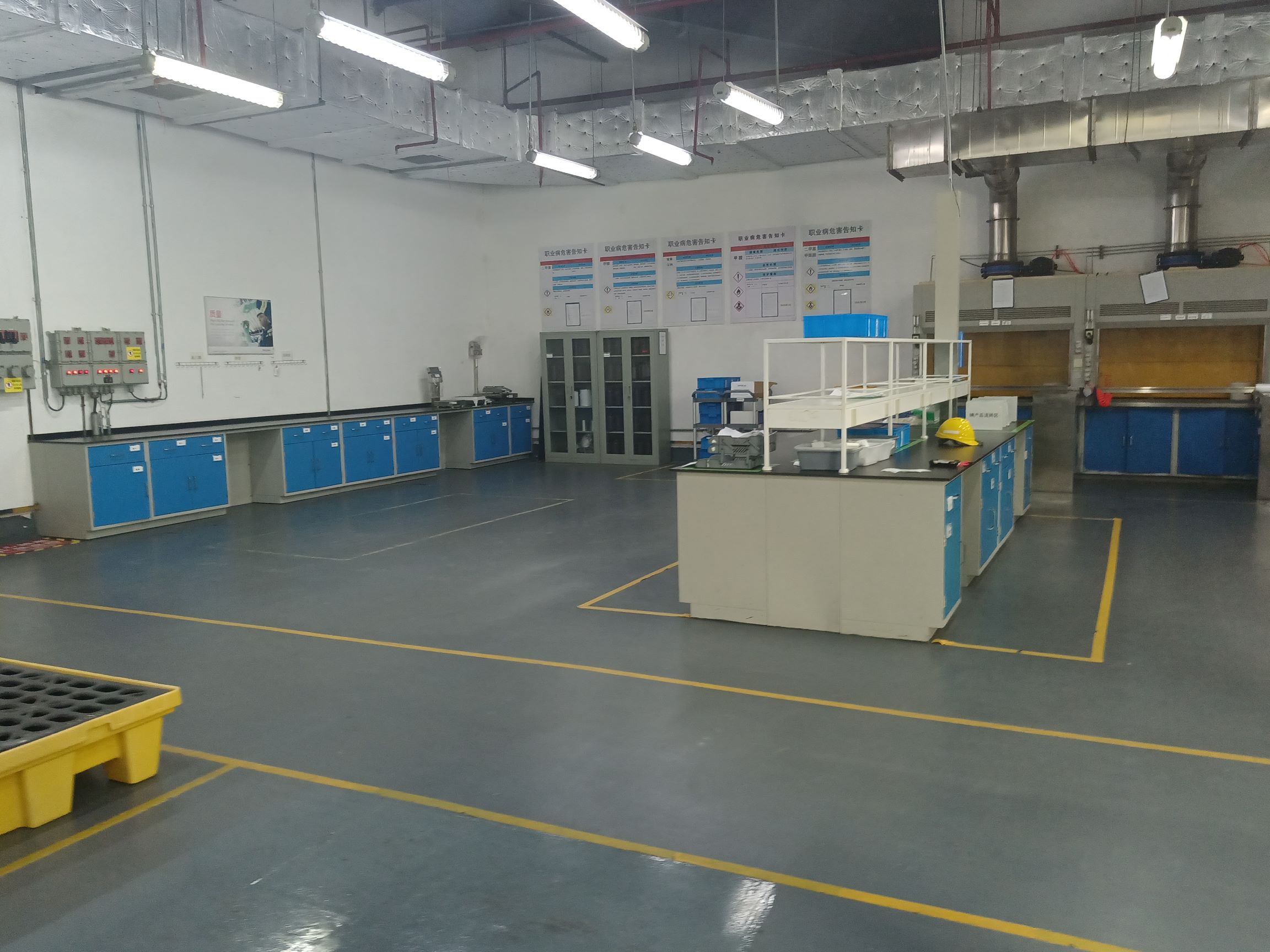 1768483128662.jpg 2.jpg